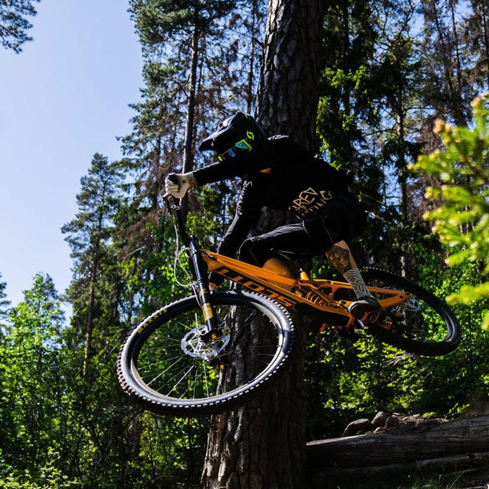 Ciclista MTB numa floresta usando amortecedores Öhlins